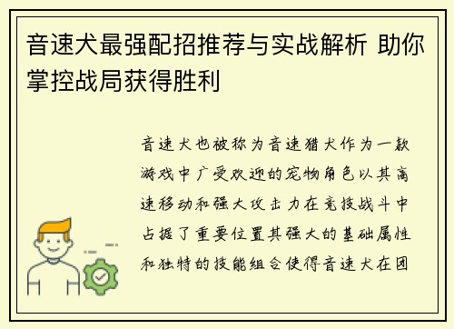 音速犬最强配招推荐与实战解析 助你掌控战局获得胜利